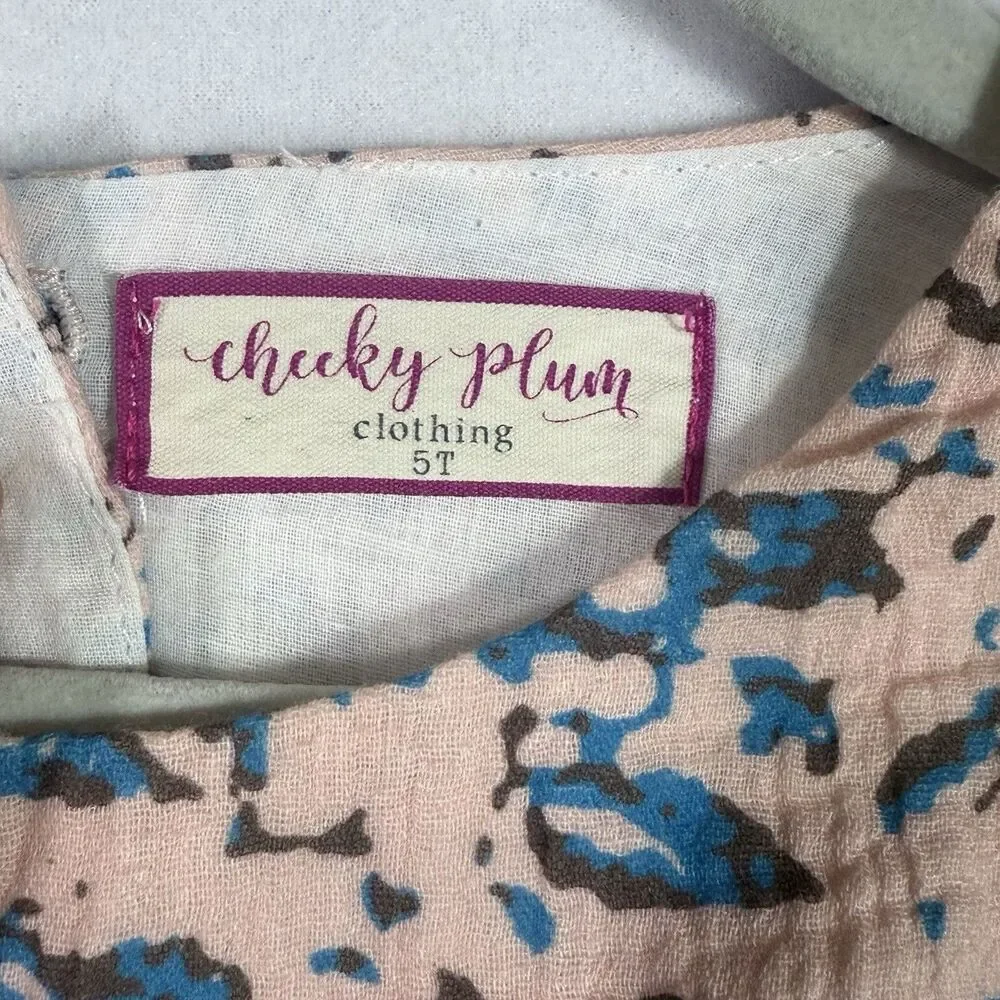 Cheeky Plum Pale Pink Blue Leaf Abstract Tassel Gauze Tunic Dress Girls 5T Lined